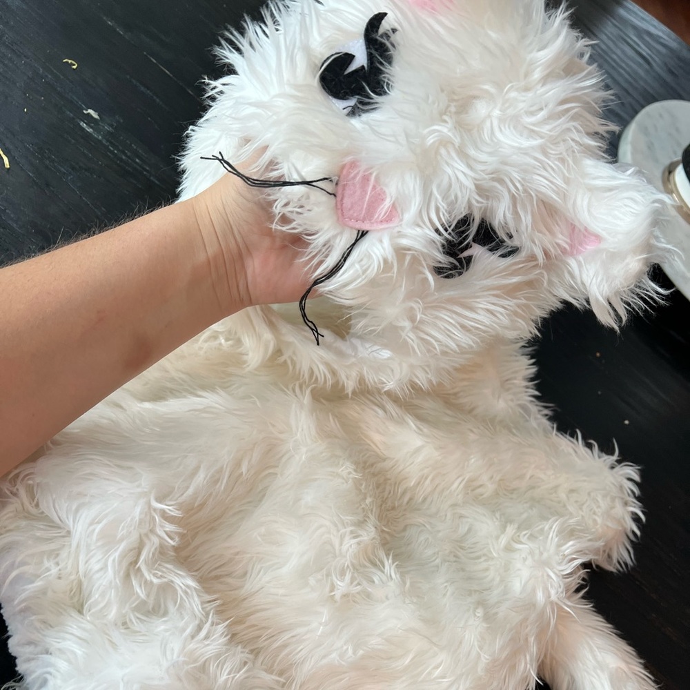 Pottery Barn cat costume